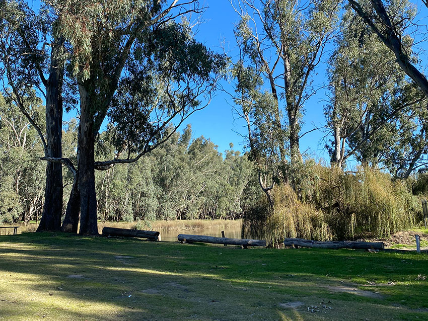 Murray River Camping Sites
